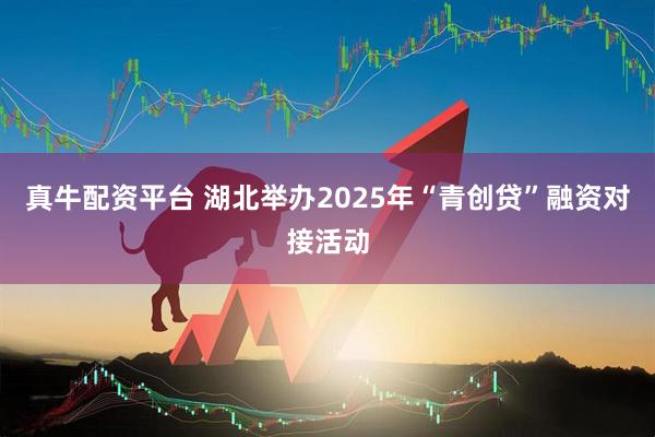 真牛配资平台 湖北举办2025年“青创贷”融资对接活动