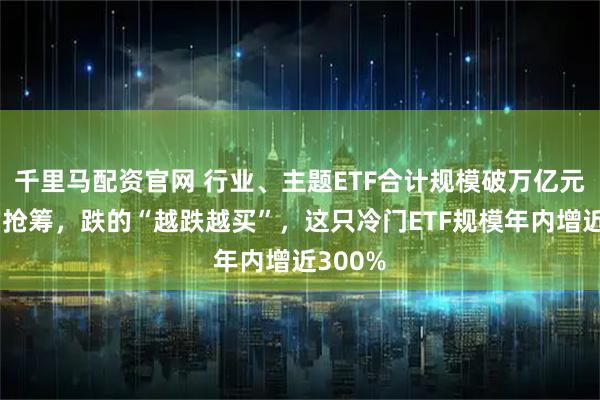 千里马配资官网 行业、主题ETF合计规模破万亿元！涨的抢筹，跌的“越跌越买”，这只冷门ETF规模年内增近300%
