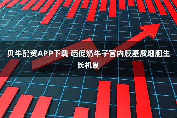 贝牛配资APP下载 硒促奶牛子宫内膜基质细胞生长机制