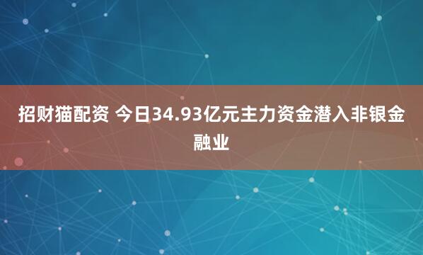 招财猫配资 今日34.93亿元主力资金潜入非银金融业