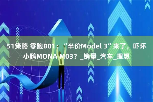 51策略 零跑B01：“半价Model 3”来了，吓坏小鹏MONA M03？_销量_汽车_理想